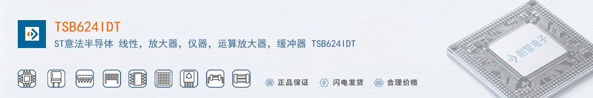 TSB624IDT������