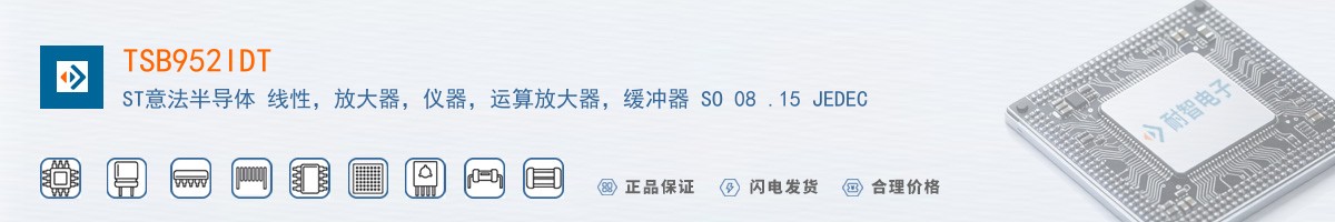 TSB952IDT������