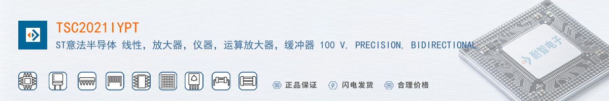 TSC2021IYPT������