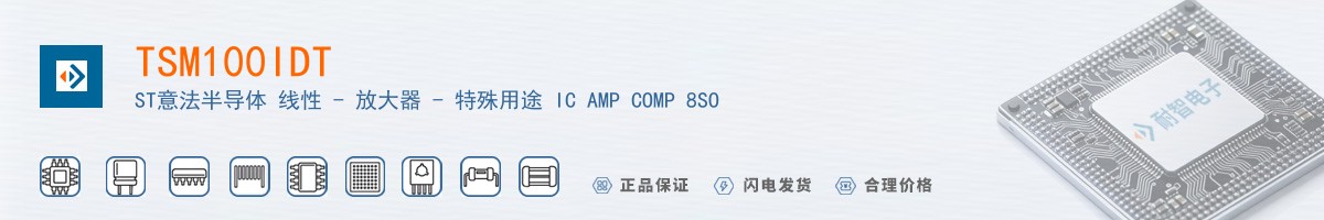 TSM100IDT������