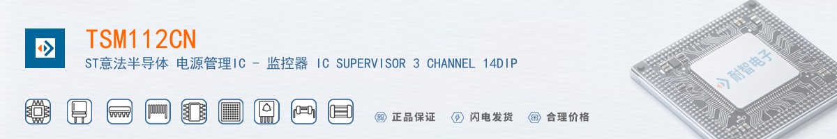 TSM112CN������