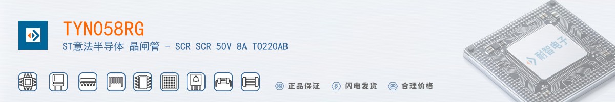 TYN058RG������