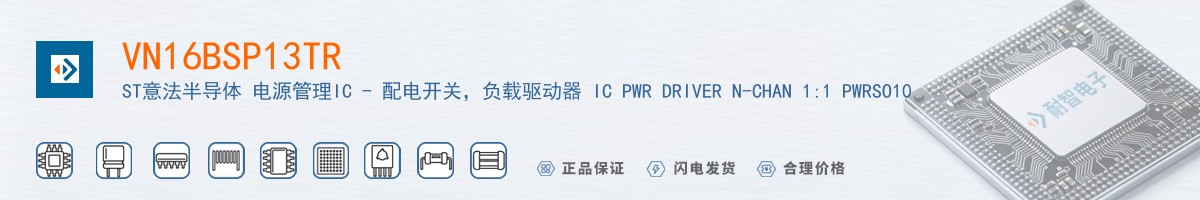 VN16BSP13TR������