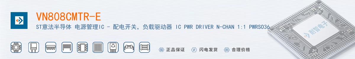 VN808CMTR-E������