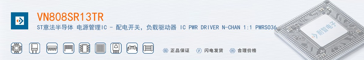 VN808SR13TR������