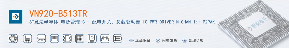 VN920-B513TR������