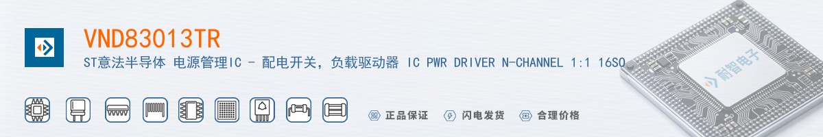 VND83013TR������