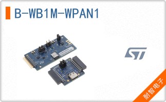 B-WB1M-WPAN1