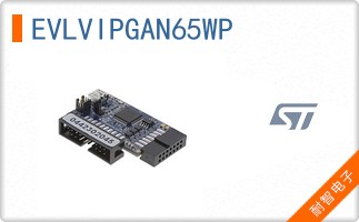 EVLVIPGAN65WP