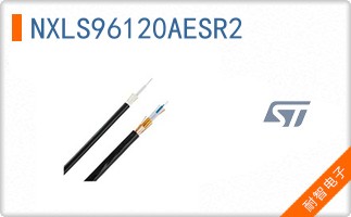 NXLS96120AESR2